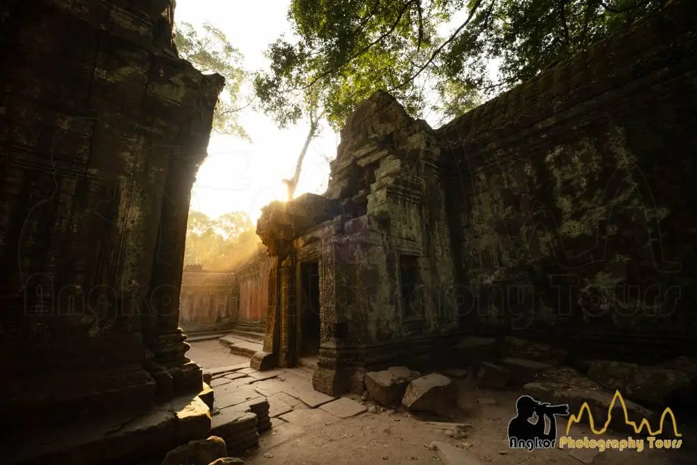 Angkor Wat reflected in the lotus pond at sunrise